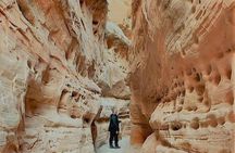 Small-group tour of Valley of Fire and Lost City Museum