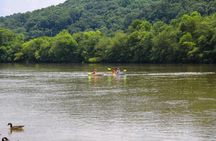 Chattahoochee River Roswell kayak rental - Don White to Azalea