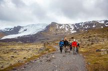 Glacier explorer tour