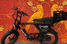 E-Fatbike rental with self-guided tour on your phone