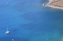Cetaceans watching by catamaran from Funchal