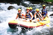 Half-day White water rafting adventure on the Ayung river