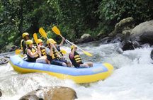 Half-day White water rafting adventure on the Ayung river