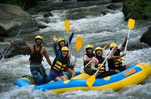 Half-day White water rafting adventure on the Ayung river