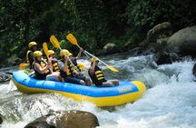 Half-day White water rafting adventure on the Ayung river