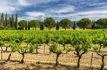 Guided tour of Cassis, boat ride & wine tasting from Aix-en-Provence