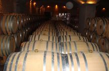 Winery and Pamukkale sunset guided tour with pick-up and dinner