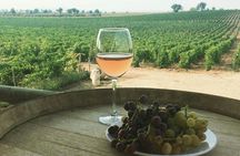 Winery and Pamukkale sunset guided tour with pick-up and dinner