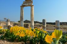 Daily guided Pamukkale tour with pick-up from Denizli Airport