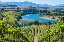 Wanaka boutique wine tour