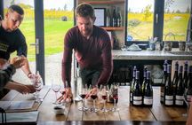Wanaka classic wine tour