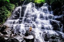Best of Ubud day-tour with a photographer