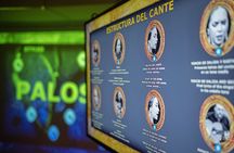 Interactive flamenco experience and guided tour in Málaga