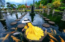 Bali Private Tour with Lempuyang Temple, Tirta Gangga and Tukad Cepung Waterfall
