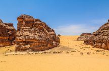 Al Ula half-day Hegra experience