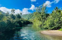 Tahitian peninsula sightseeing tour