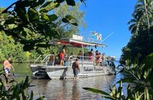Tahitian peninsula sightseeing tour