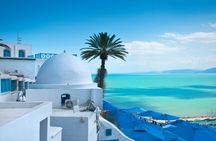 Carthage, Sidi Bou Said and Medina guided tour from Hammamet and Nabeul