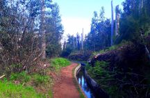 Serra de Agua Valley guided hiking tour in Madeira