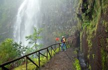 Rabaçal Valley, Risco Waterfall and 25 Fountains hiking tour