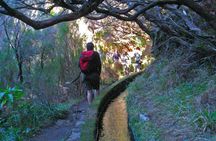 Rabaçal Valley, Risco Waterfall and 25 Fountains hiking tour