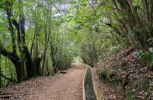 Levada do Furado hiking tour from Ribeiro Frio to Portela