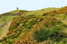 Lakes of Madeira full-day hiking tour