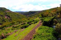 Lakes of Madeira full-day hiking tour