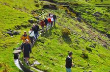 Lakes of Madeira full-day hiking tour