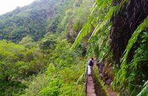 Full-day hiking tour from Queimadas to Caldeirão Verde