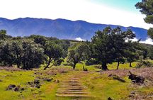 Full-day hiking tour from Assobiadores to Fanal