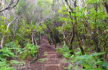 Full-day hiking tour from Assobiadores to Fanal