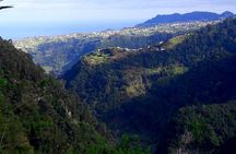 Hidden corners of King's Levada hiking tour