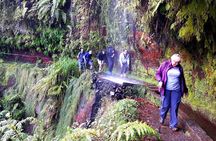 Hidden corners of King's Levada hiking tour