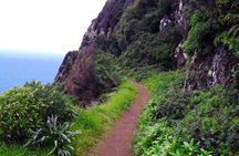 Vereda do Larano full-day hiking tour