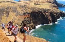Ponta de São Lourenço full-day hiking tour