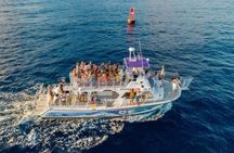 Wild Humpback Whales Tour in Oahu with Hawaiian Cultural Experience