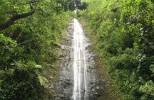 Oahu Guided Hawaii's Rainforest Hike
