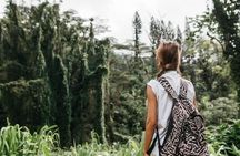Oahu Guided Hawaii's Rainforest Hike