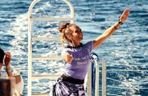Wild Humpback Whales Tour in Oahu with Hawaiian Cultural Experience