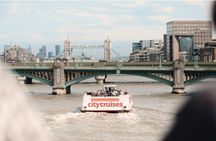 One-Way Sightseeing Cruise on the Thames River