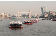 One-Way Sightseeing Cruise on the Thames River