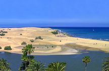 Small group e-bike tour of Maspalomas