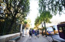Acropolis, Museum and Athens city highlights guided group tour