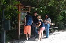 Family treasure hunt adventure in Athens