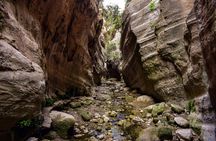 Jeep safari with surf & turf Blue Lagoon cruise tour from Paphos