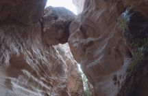 Jeep safari with surf & turf Blue Lagoon cruise tour from Paphos