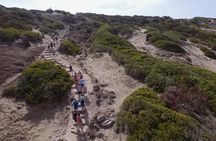 Akamas half-day jeep safari tour from Paphos