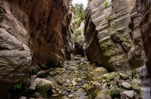 Akamas half-day jeep safari tour from Paphos