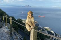 Gibraltar Pass 1-day ticket